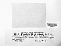 Image Associated With the Occurence